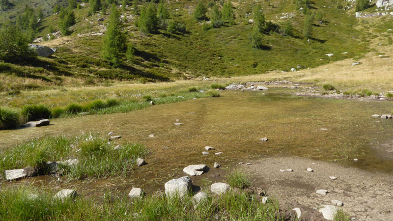 Laghi.......del TRENTINO